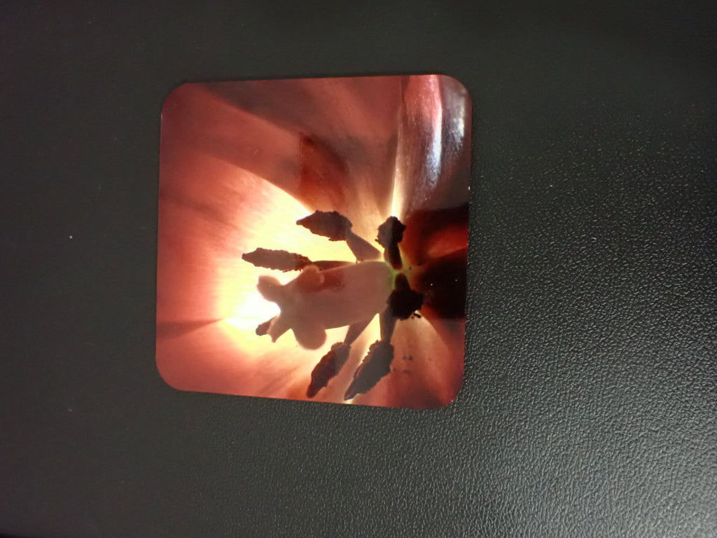 Custom Coasters