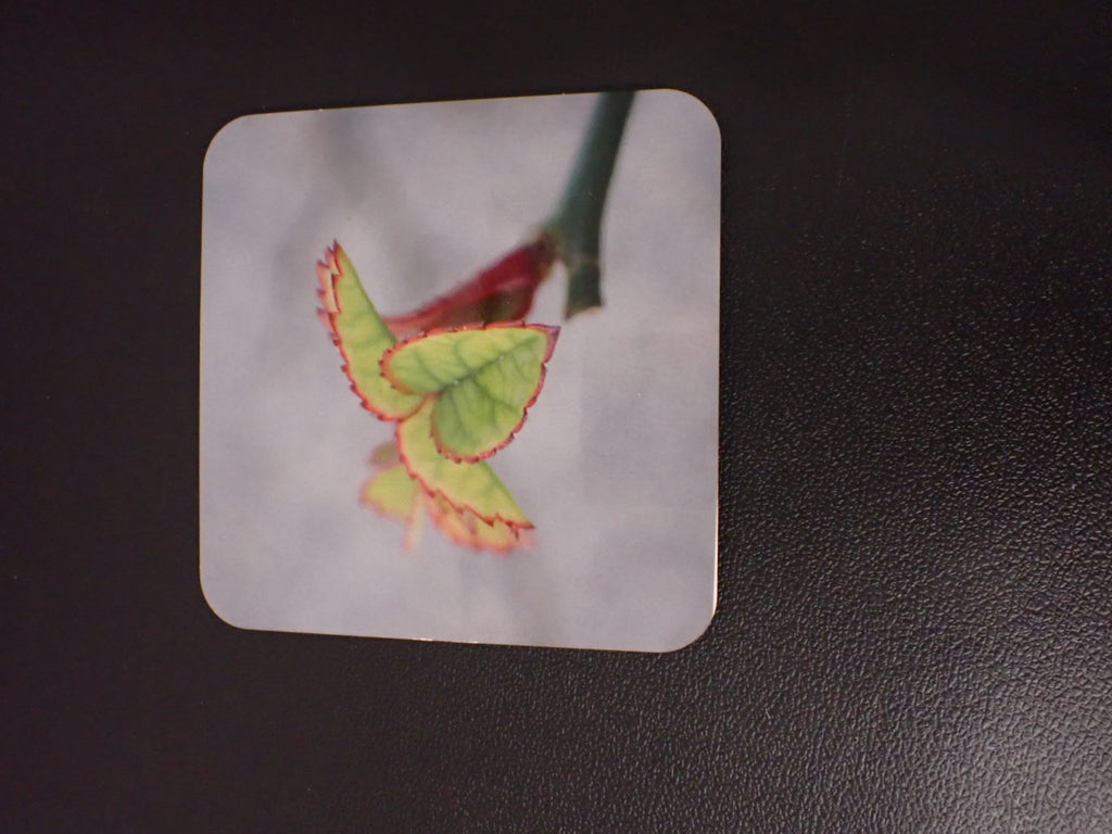 Custom Coasters