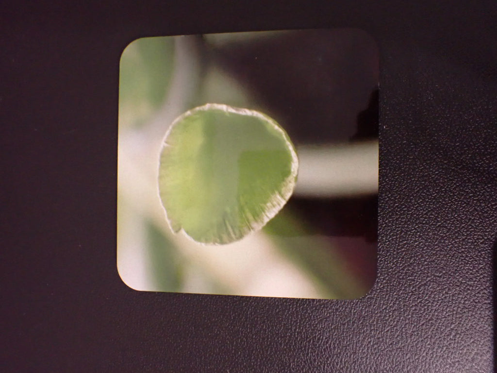Custom Coasters