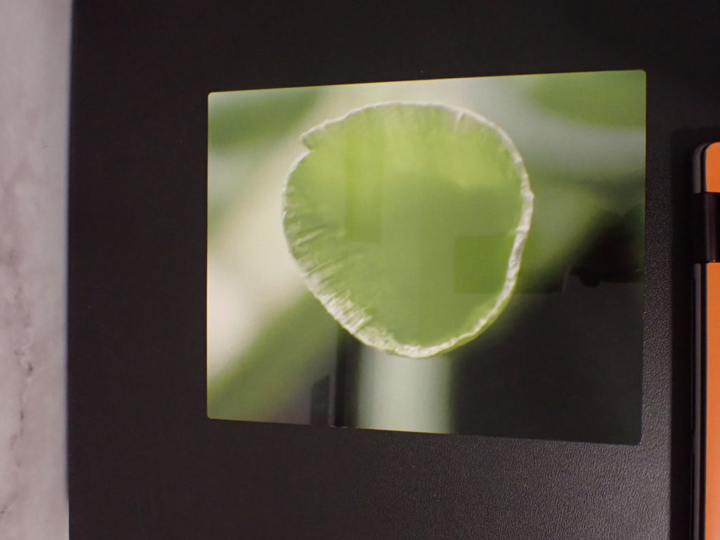 custom metal prints
